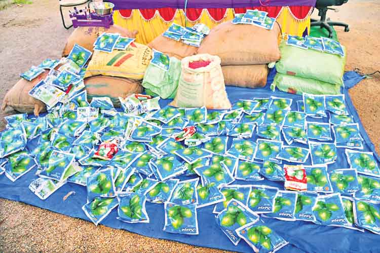 భారీగా నకిలీ విత్తనాల పట్టివేత