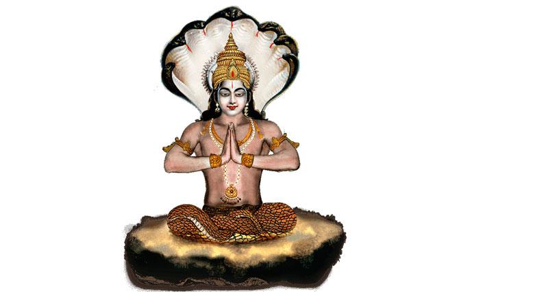 సాత్వికులకు ఇది తగదు!