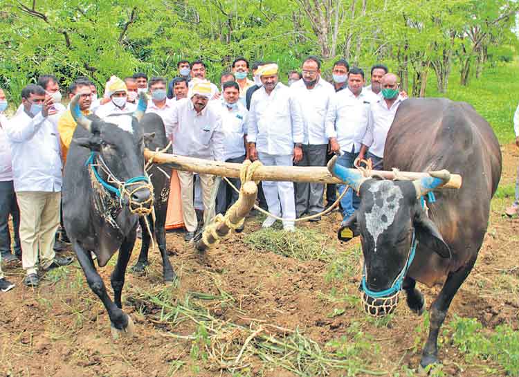 రైతు సంక్షేమమే ప్రభుత్వ ధ్యేయం