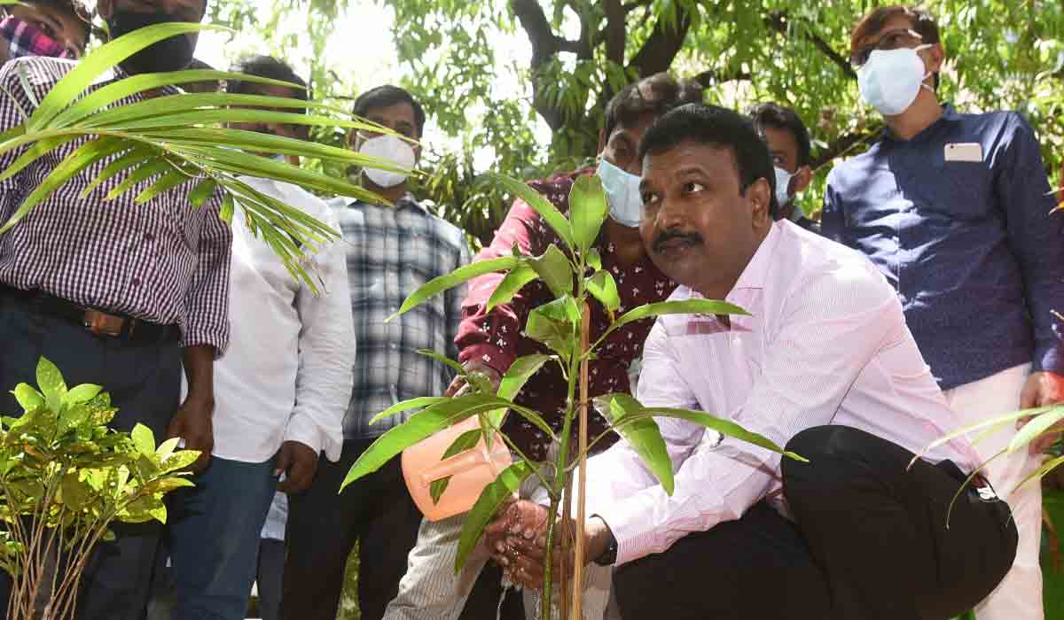 గ్రీన్ ఇండియా ఛాలెంజ్‌లో పాల్గొన్న డీహెచ్ శ్రీ‌నివాస రావు