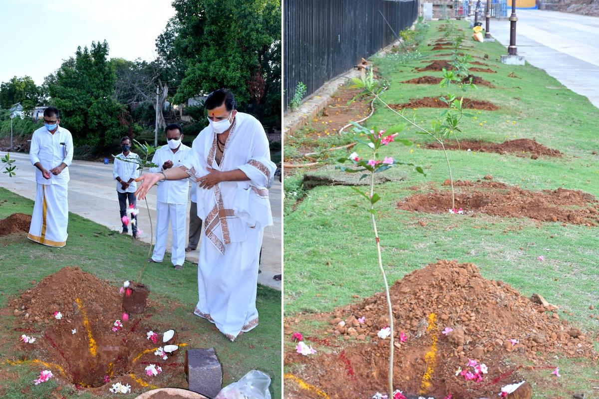 పశ్చిమ మాడవీధిలో మొక్కలు నాటిన శ్రీశైలం ఈఓ