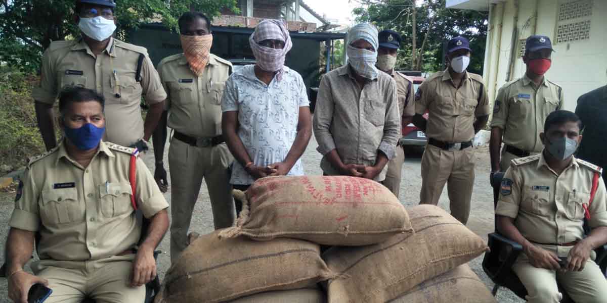 భారీగా నకిలీ పత్తి విత్తనాలు పట్టివేత