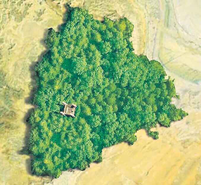 ‘లైఫ్‌ ఆన్‌ ల్యాండ్‌’ సూచీలో మెరుగ్గా తెలంగాణ