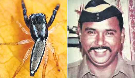 కొత్త సాలీడుకు 26/11 హీరో పేరు