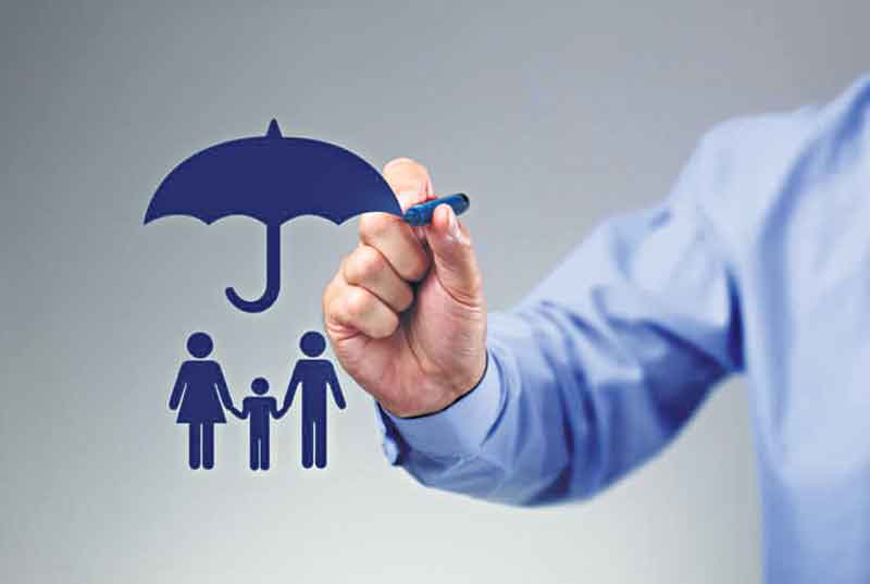 యులిప్‌ అదరహో