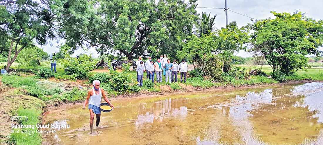 వెద జల్లు.. లాభాలు ఫుల్లు..