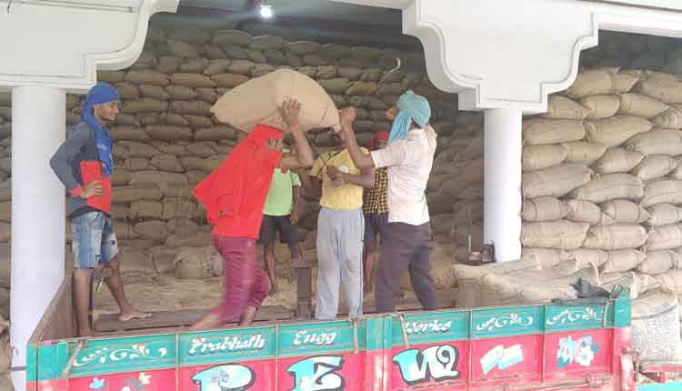 జోరుగా ధాన్యం కొనుగోళ్లు