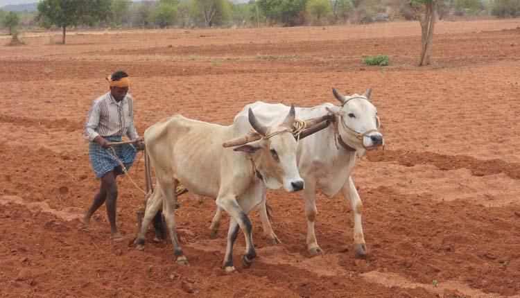 సాగుకు సన్నద్ధం