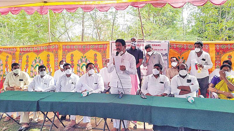 కందితో అధిక లాభాలు