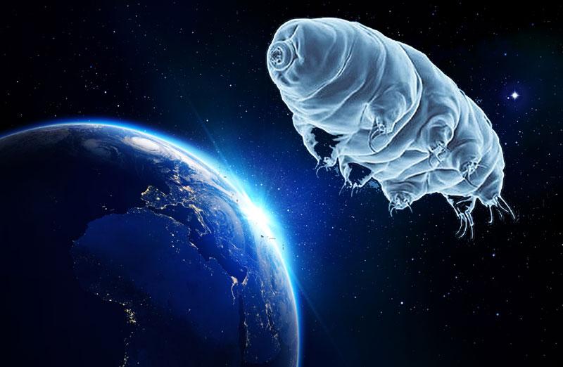 రోదసిలోకి సూక్ష్మజీవులు