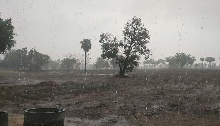 తొలకరి పలకరించె..