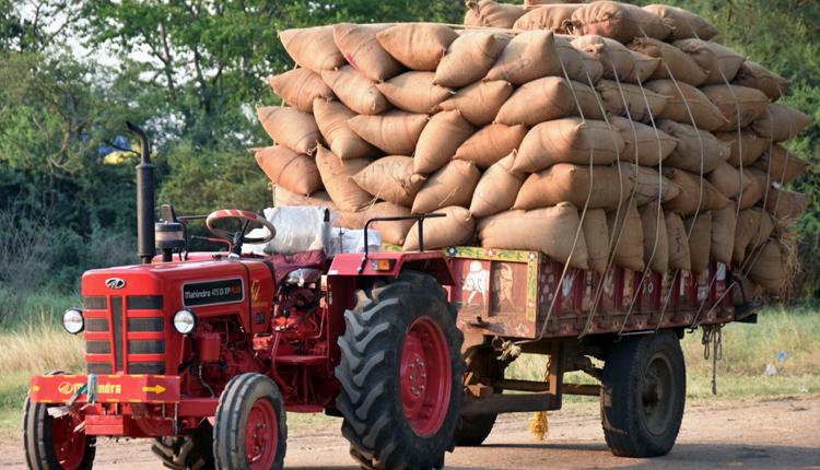 ధాన్యం దిగుబడిలో ‘రూరల్‌’ రికార్డు