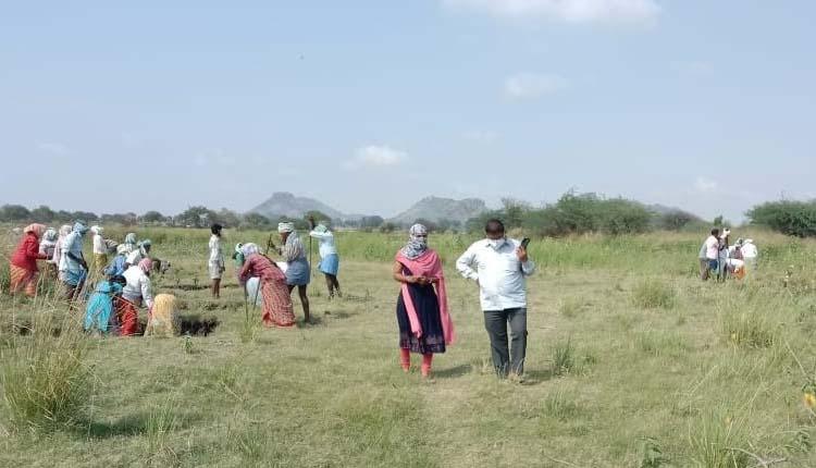 లైవ్‌లో ఉపాధి పనుల వీక్షణం