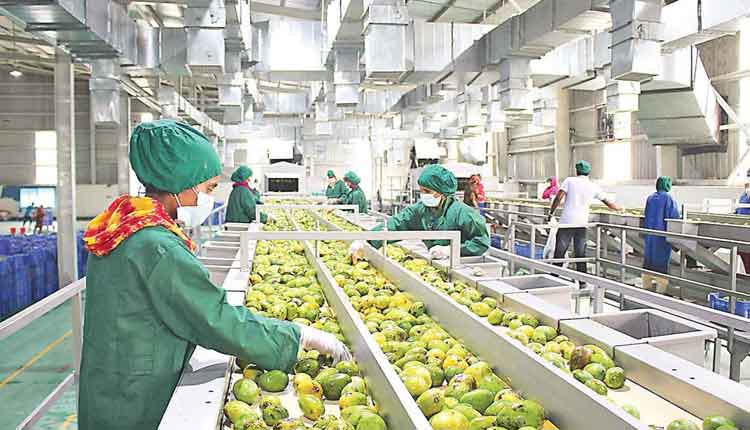 ఆహార భద్రత.. ఉపాది భరోసా..