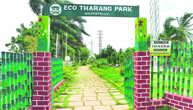 నగరానికి   పచ్చలహారం