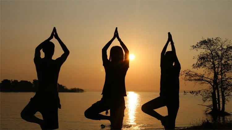 బాగా నచ్చిన..యోగాసనం!