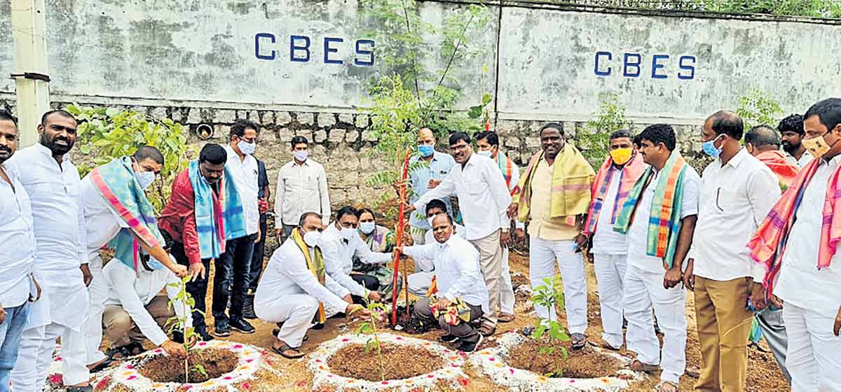 ఆకుపచ్చ తెలంగాణే సీఎం కేసీఆర్‌ లక్ష్యం
