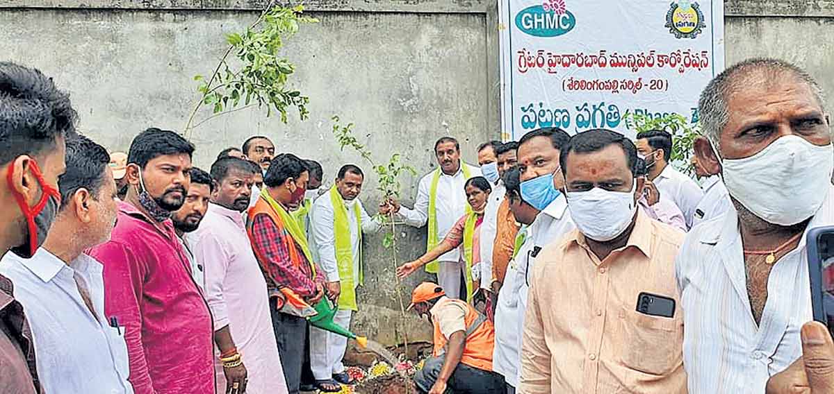 ప్రతి మొక్కను సంరక్షించాలి