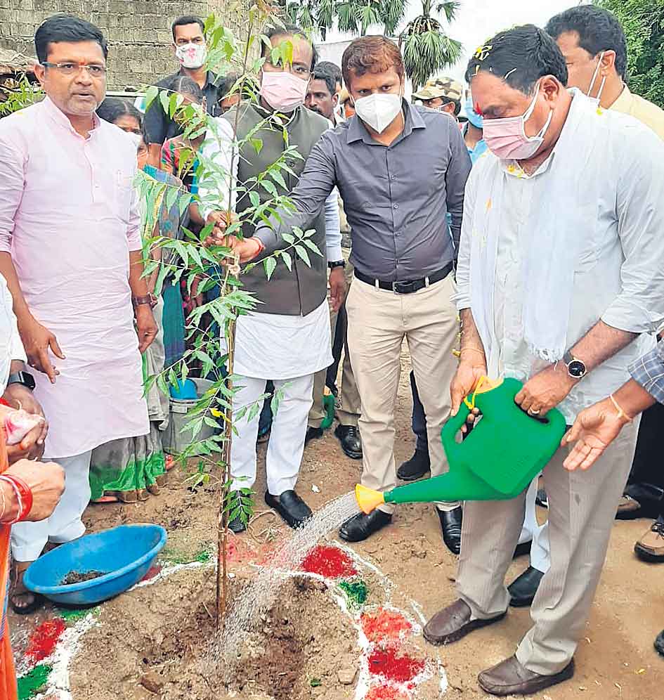 మొక్కలు నాటి సంరక్షించాలి