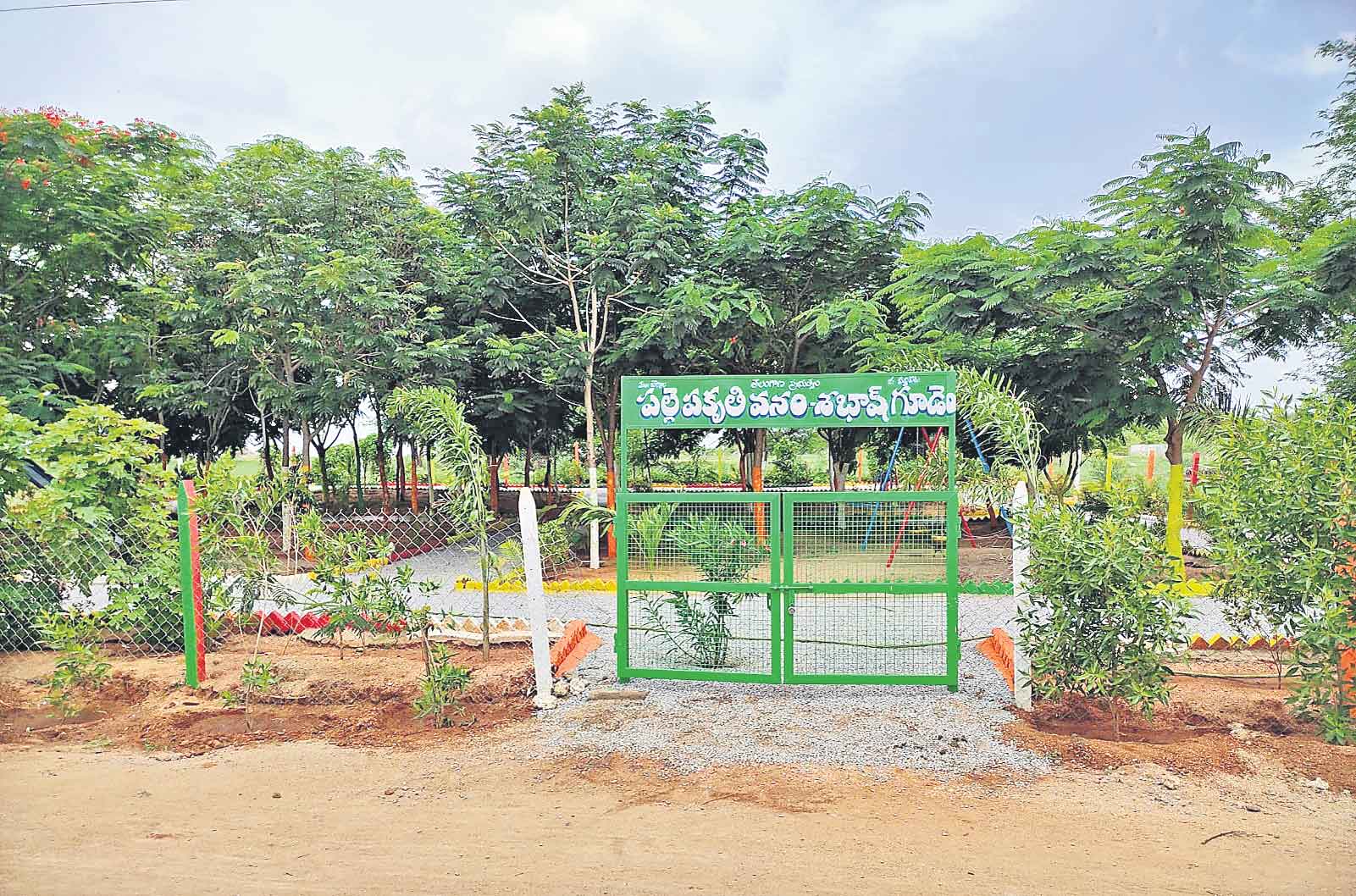 ‘పల్లె ప్రగతి’తో అభివృద్ధి బాట