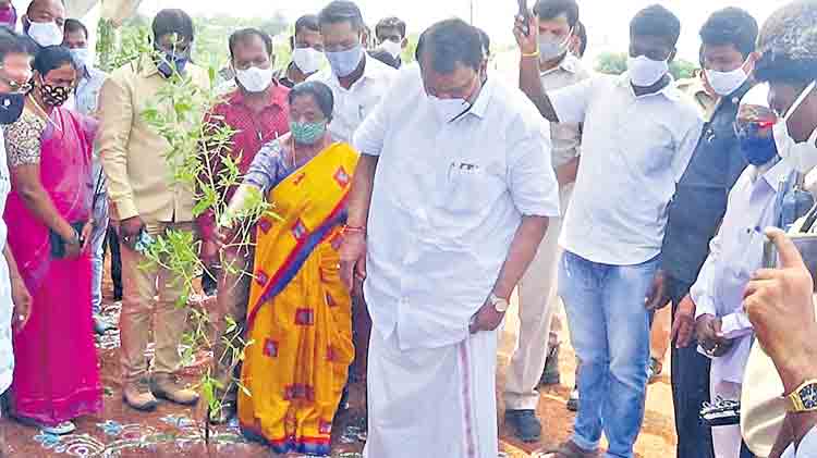 ప్రగతి ఉద్యమం ఉత్సాహంగా పల్లె, పట్టణ ప్రగతి