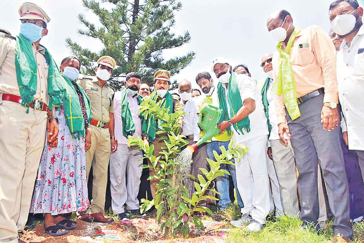 ప్రగతి సంబురం