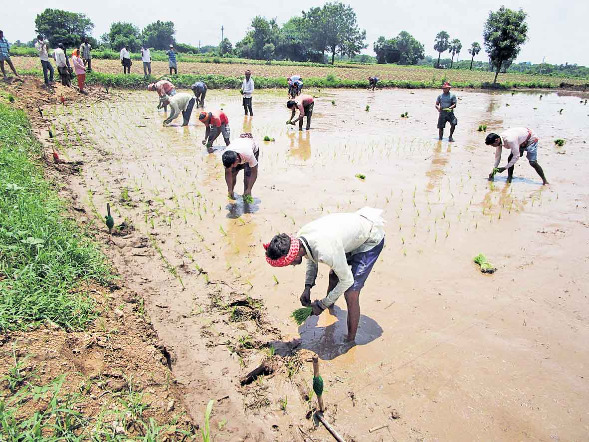 కొలనూర్‌లో యూపీ కూలీలు