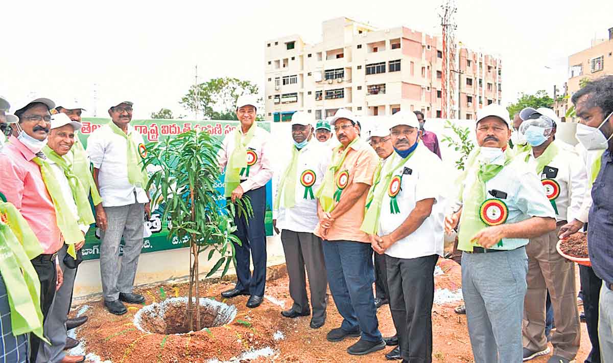 త్వరితగతిన సాగాలి.. పట్టణ ప్రగతి