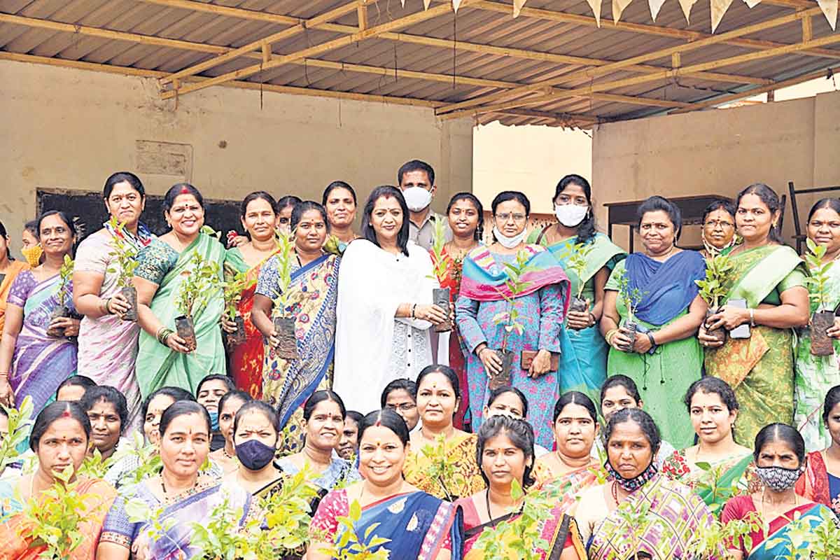 పచ్చదన పరవశం.. స్వచ్ఛతలో ఆదర్శం