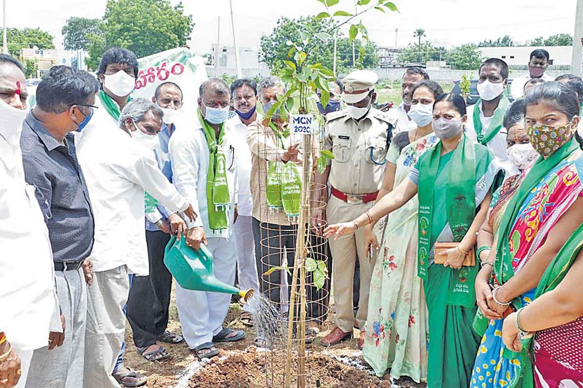దిగ్విజయంగా పట్టణ ప్రగతి