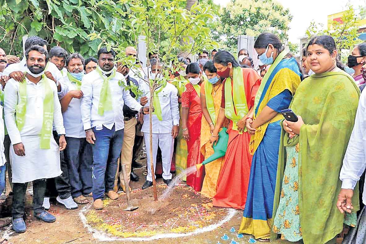 జిల్లాలో పండుగలా కొనసాగుతున్న హరితహారం