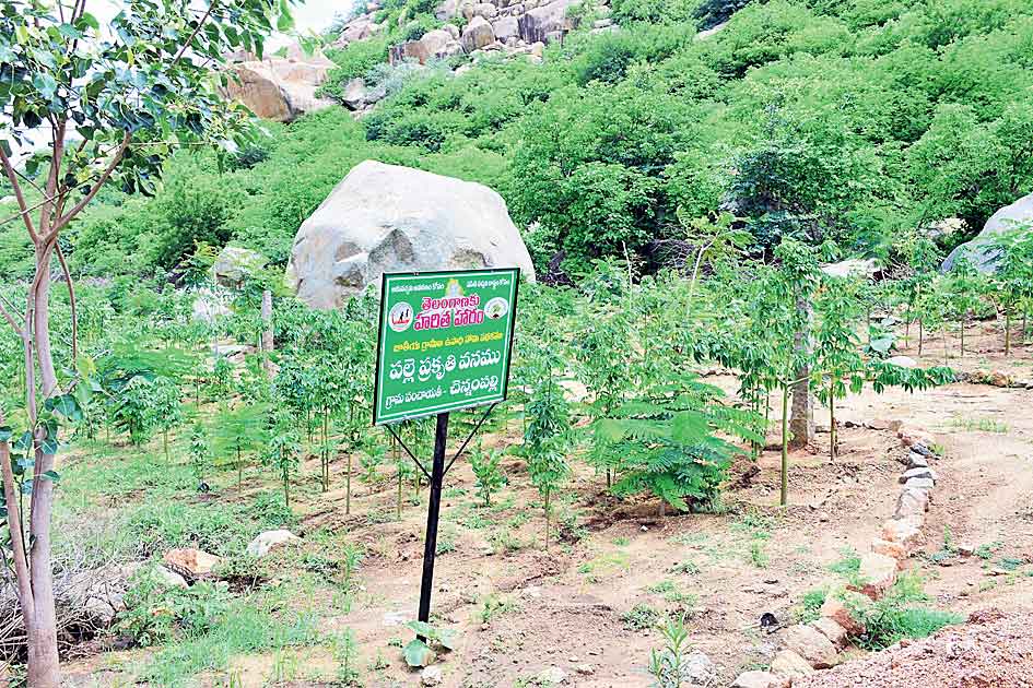 చూడచక్కని పల్లె చెన్నంపల్లి