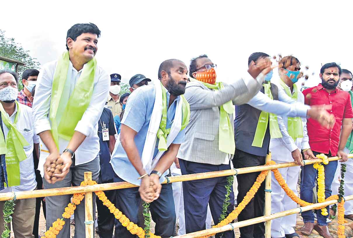 గ్రీన్ గిన్నిస్ రికార్డ్!