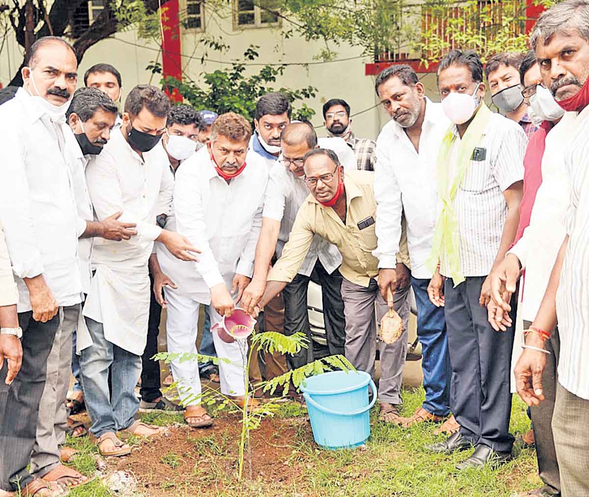 మొక్కలు నాటి సంరక్షించాలి