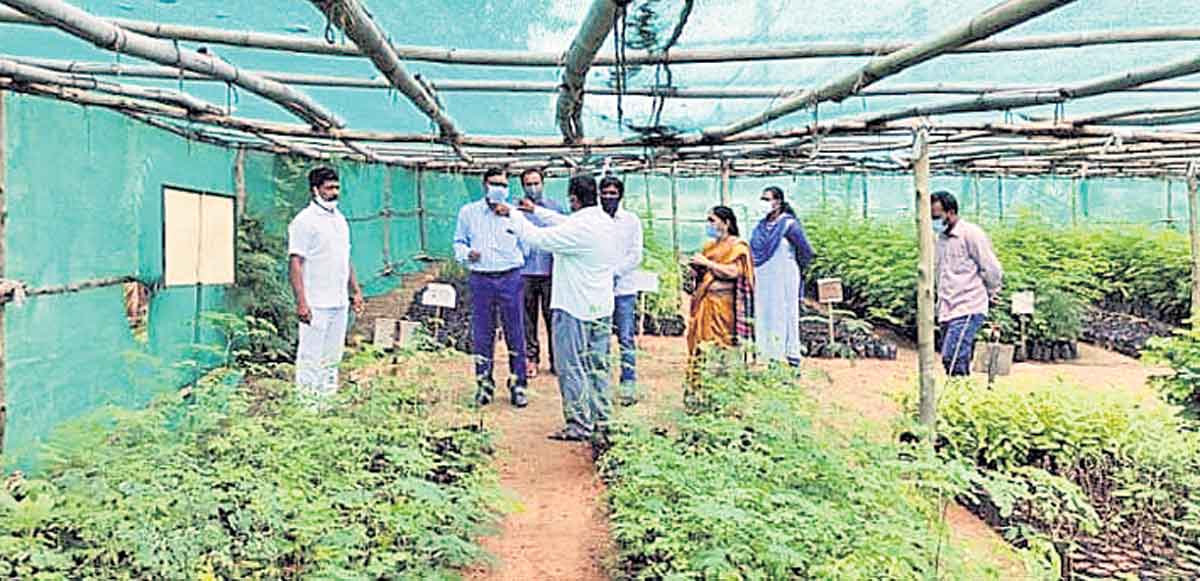 హరితహారం లక్ష్యాన్ని పూర్తి చేయాలి