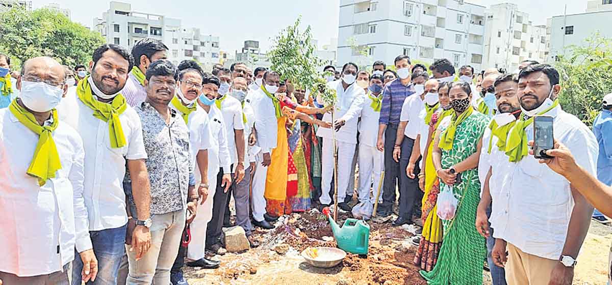 సతతం.. హరితం