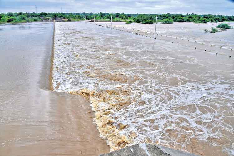 వాన హోరు.. సాగు జోరు
