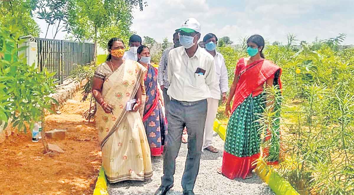 ఆహ్లాదానికి చిరునామా ప్రకృతి వనాలు