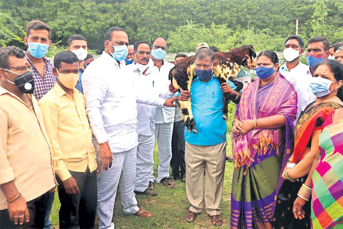 అభివృద్ధిని చూసి ప్రపంచం గర్విస్తున్నది..