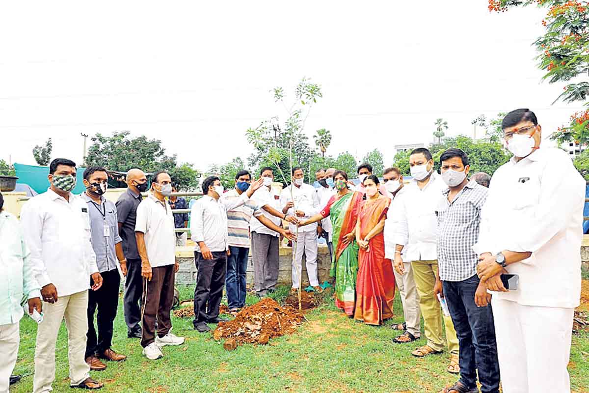 ప్రగతి వేడుక హరిత కానుక
