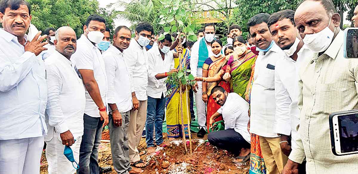 పల్లెకు ప్రగతి