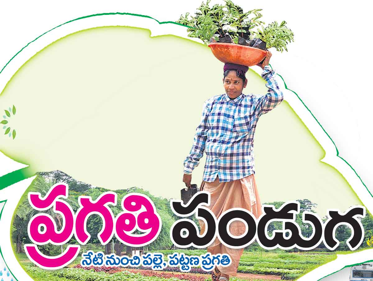 పల్లె, పట్టణ ప్రగతి ప్రారంభం