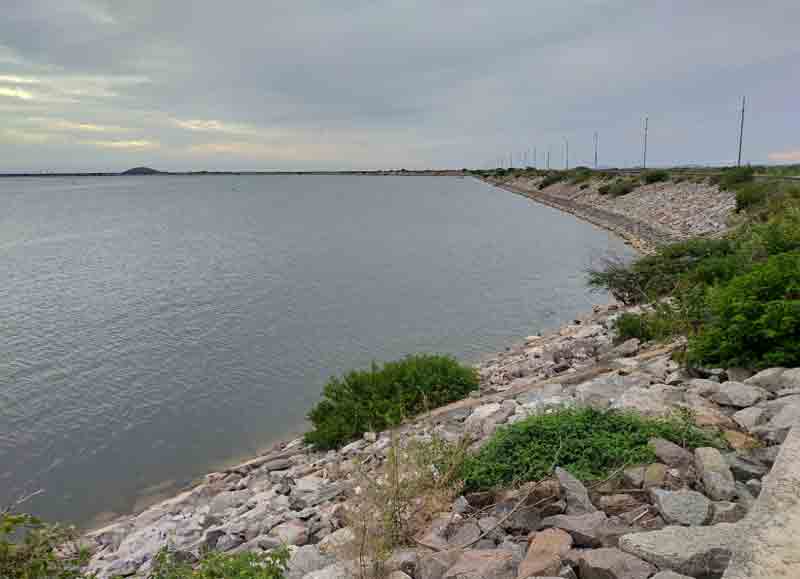 ఆగస్టు 10నుంచి ఏఎమ్మార్పీ నీటి విడుదల