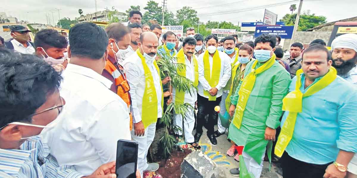 యువ నేతకు వృక్షార్చన