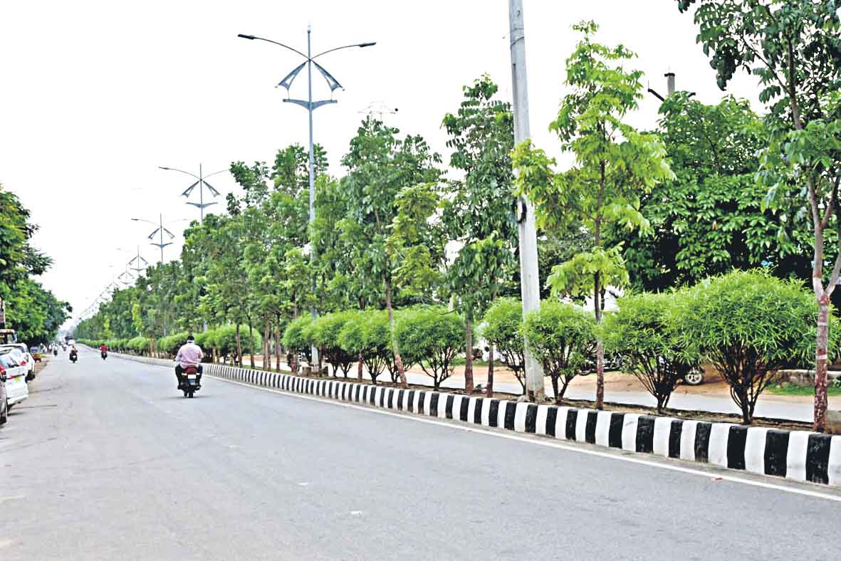 ప‌చ్చ‌ని తోట సిద్దిపేట‌