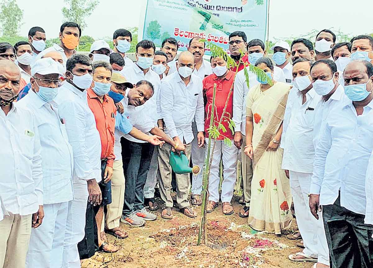 పట్టణ ప్రగతితోనే అభివృద్ధి