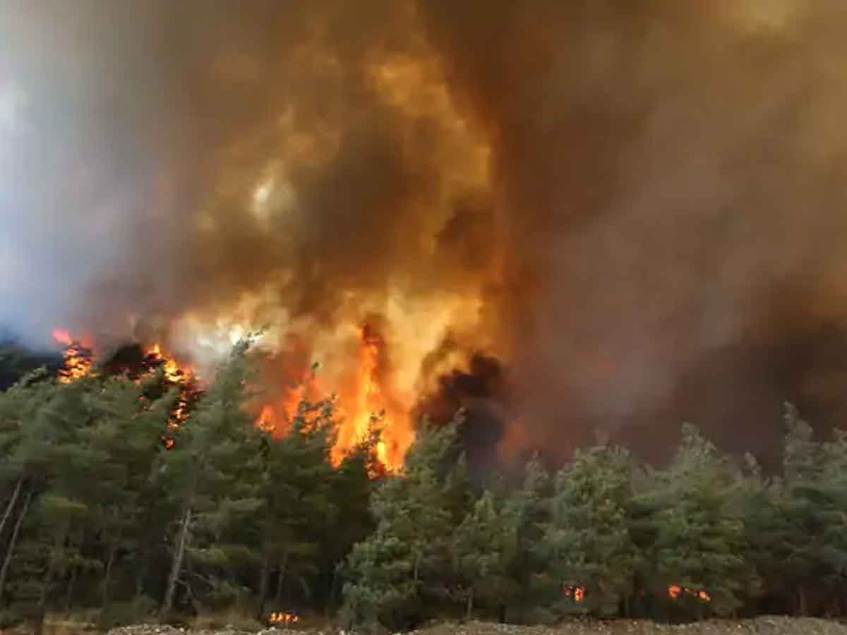 Turkey’s Forest Fire | టర్కీ అడవిలో దావానలం.. 20 గ్రామాలు తరలింపు