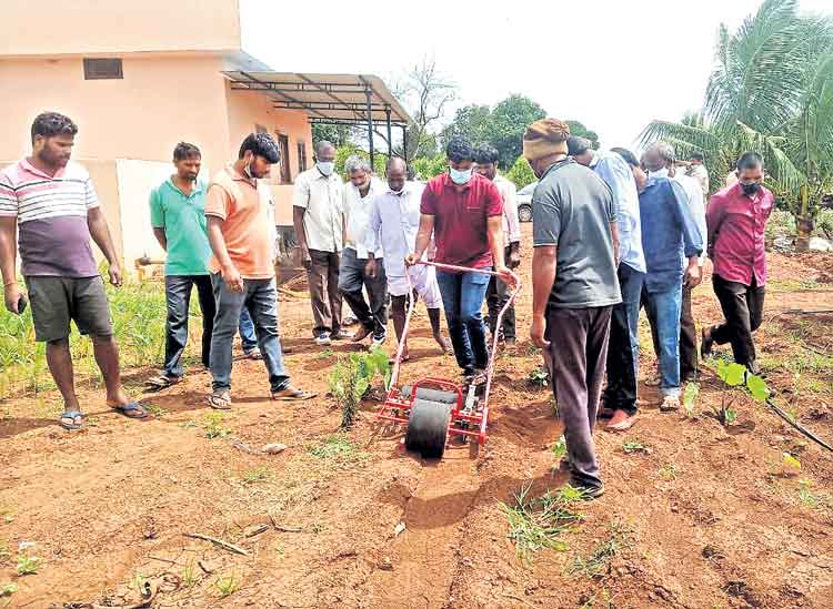 క్యారెట్ సాగుకు సాంకేతిక దన్ను