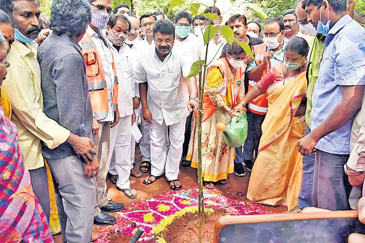 అందరం మొక్కలు నాటుదాం