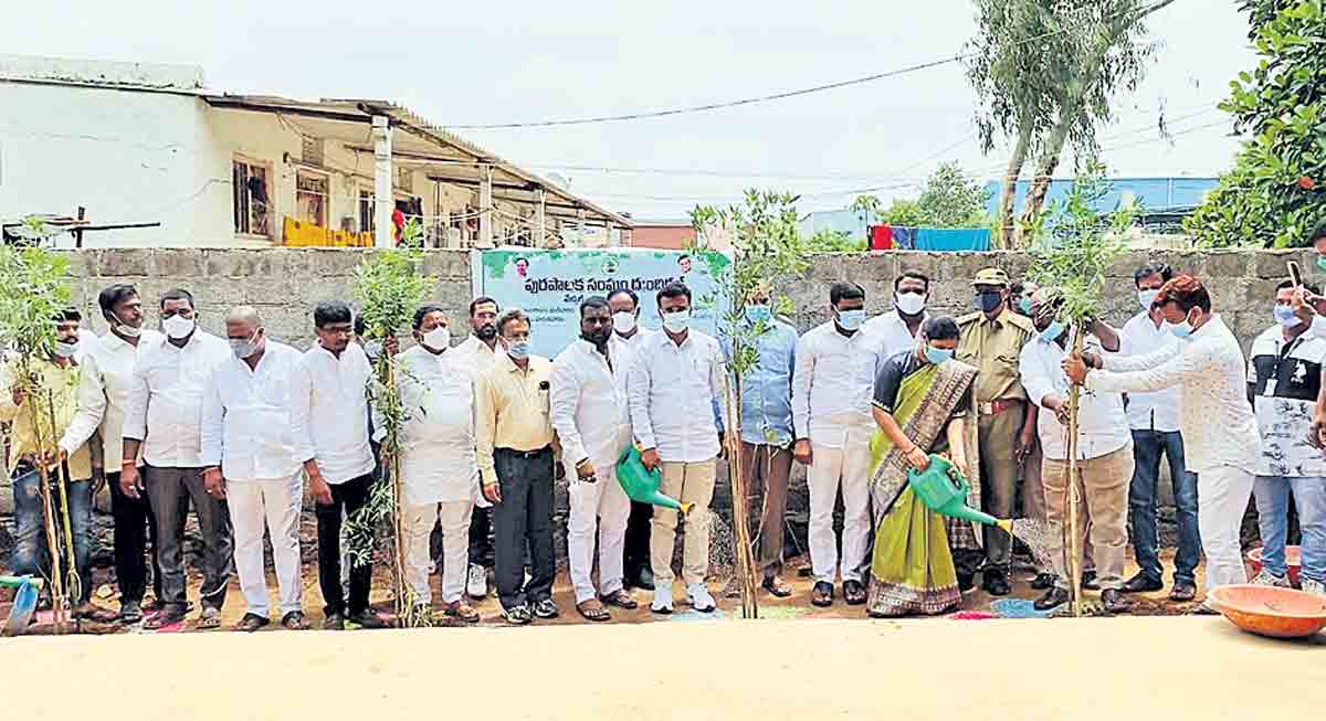 మొక్కలు నాటి సంరక్షించాలి